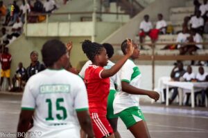 Lire la suite à propos de l’article Handball – Tournoi de mise en jambe : La Ligue du Sud met les équipes en compétition   